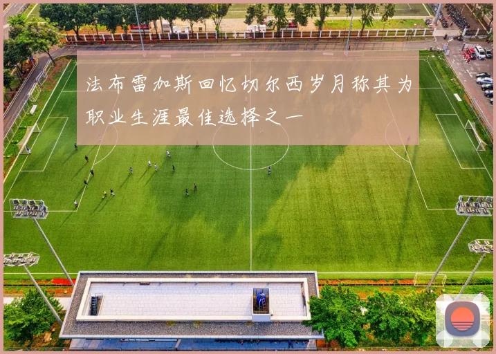 法布雷加斯回忆切尔西岁月称其为职业生涯最佳选择之一