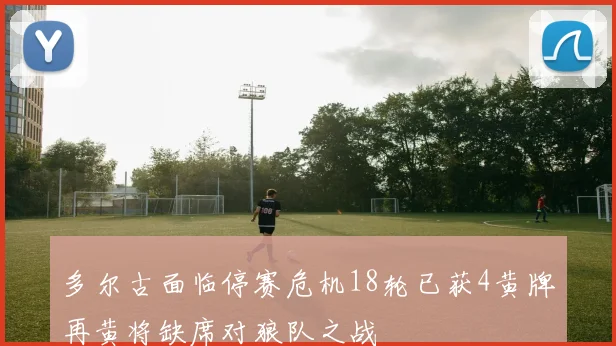 多尔古面临停赛危机18轮已获4黄牌再黄将缺席对狼队之战