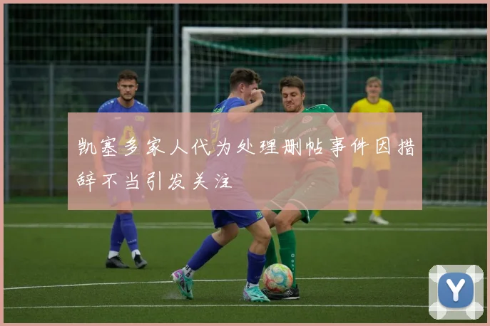 凯塞多家人代为处理删帖事件因措辞不当引发关注