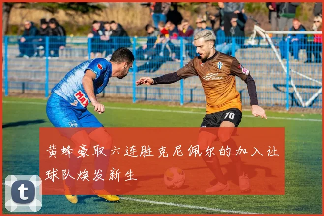 黄蜂豪取六连胜克尼佩尔的加入让球队焕发新生